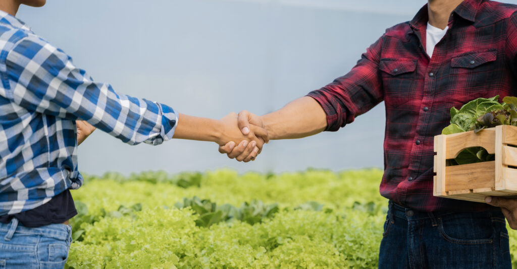 El rol de las OPFH (Organizaciones de Productores de Frutas y Hortalizas) en la industria agroalimentaria